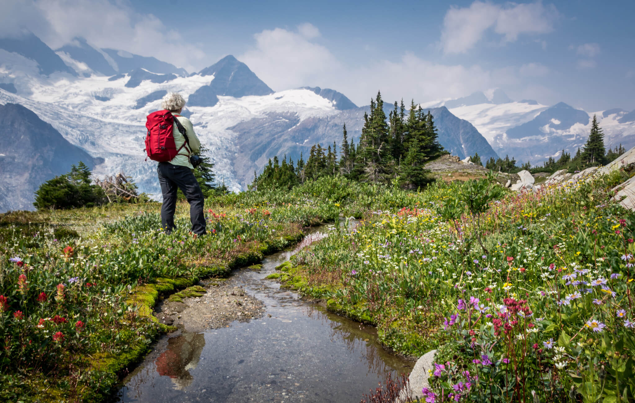 Man hiking in a flower-filled field n the Canadian Rockies